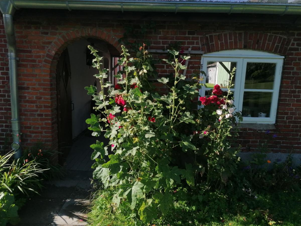 Appartamento Fw Achterdeck, 1 Obergeschoss, Petershof-Lehbek Gelting Esterno foto
